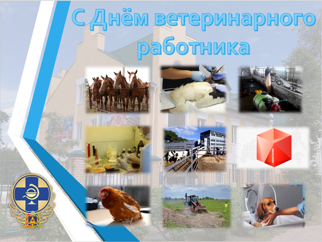 День ветеринарного работника России Википедия 19 День ветеринарного работника России Википедия 50